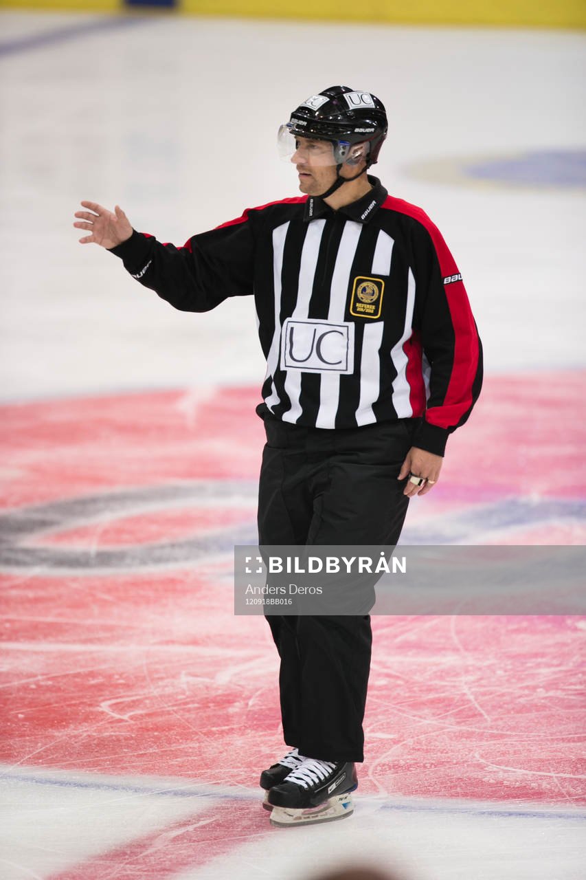 Domare Mikael Holm