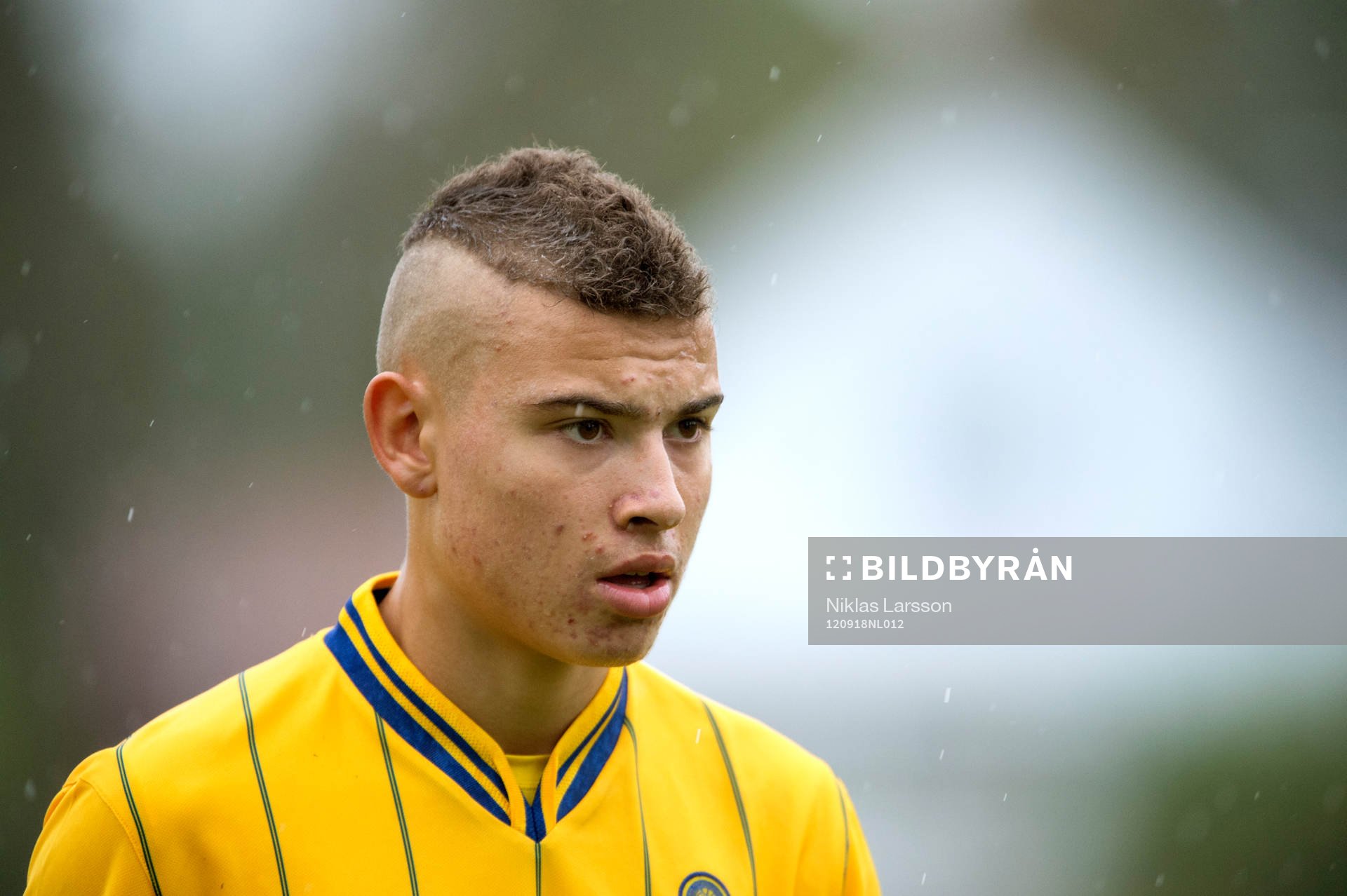 Jordan Larsson, Sverige
