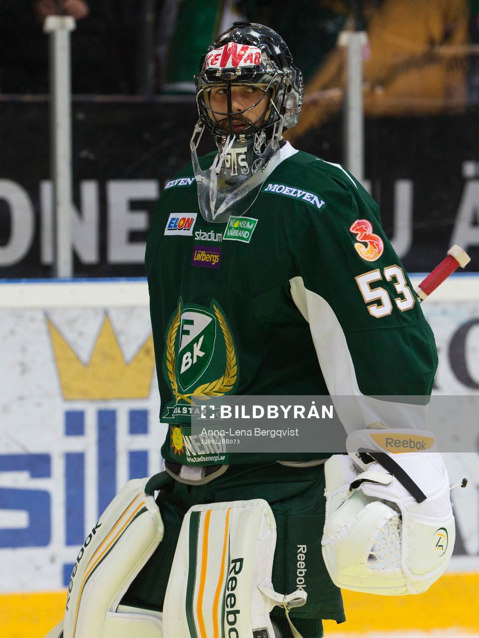 Alexander Salak, Färjestad