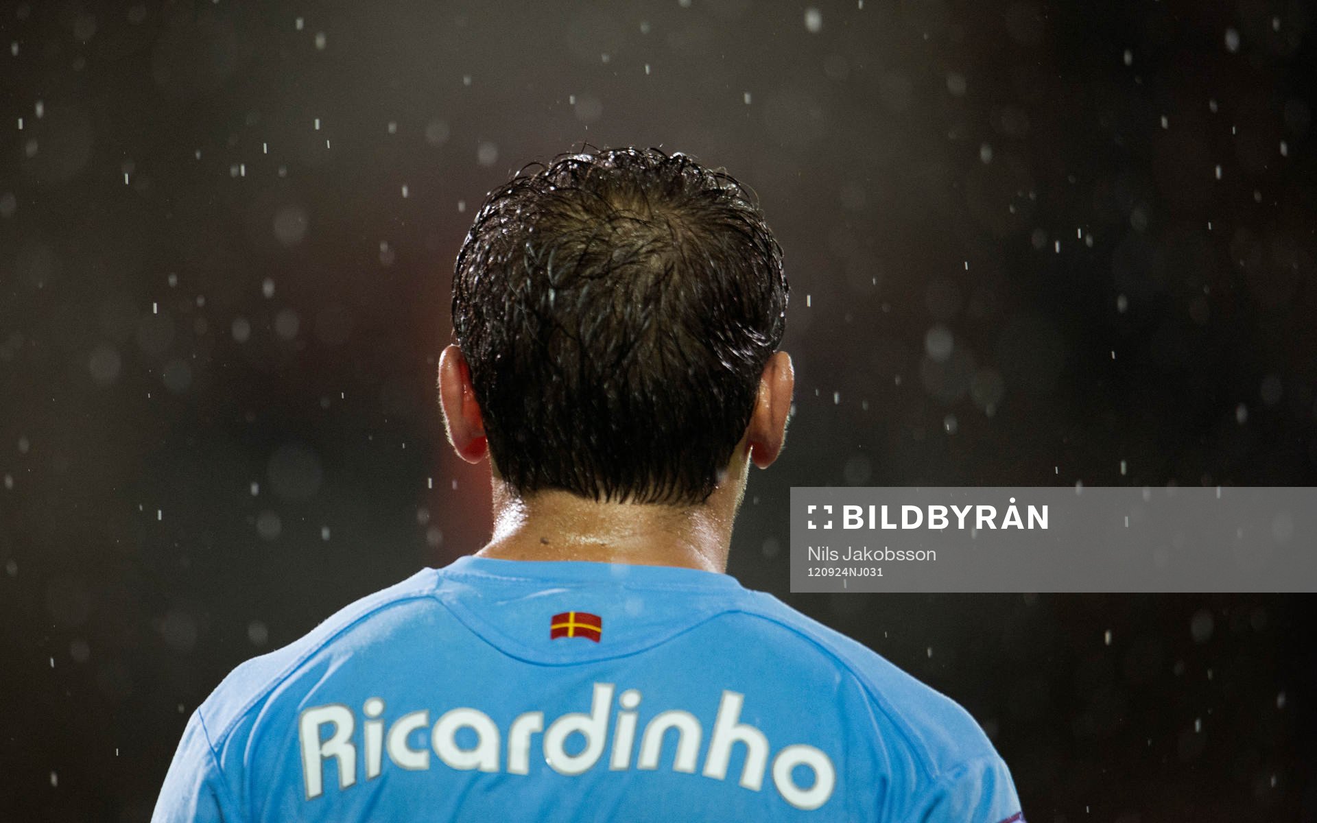 Ricardo Ferreira Da Silva, Malmö FF