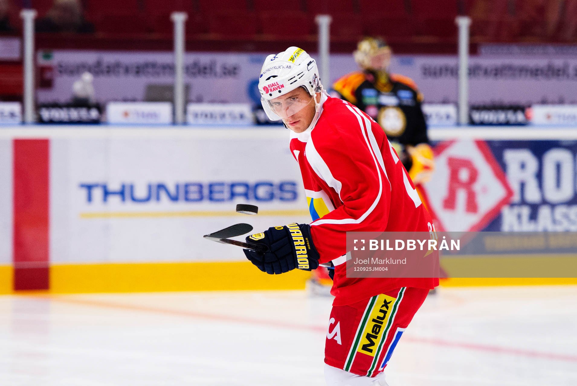 Alexander Steen, Modo, värmer upp