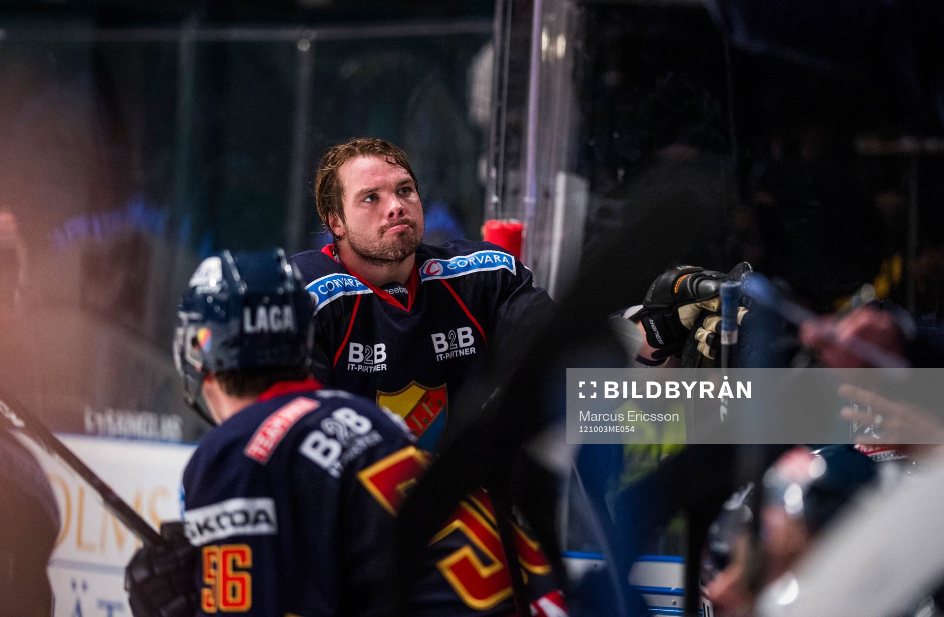 Douglas Murray, Djurgården