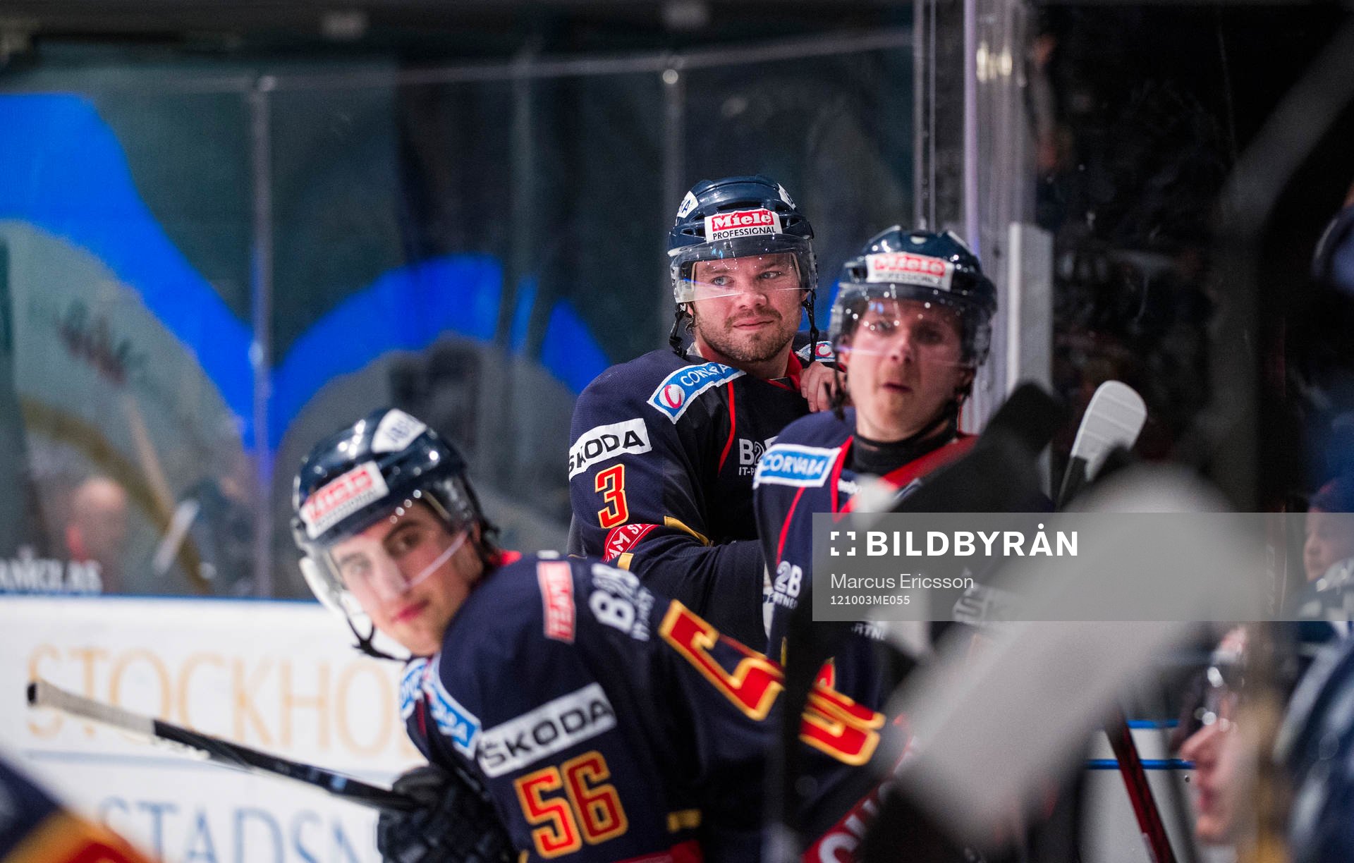 Douglas Murray, Djurgården