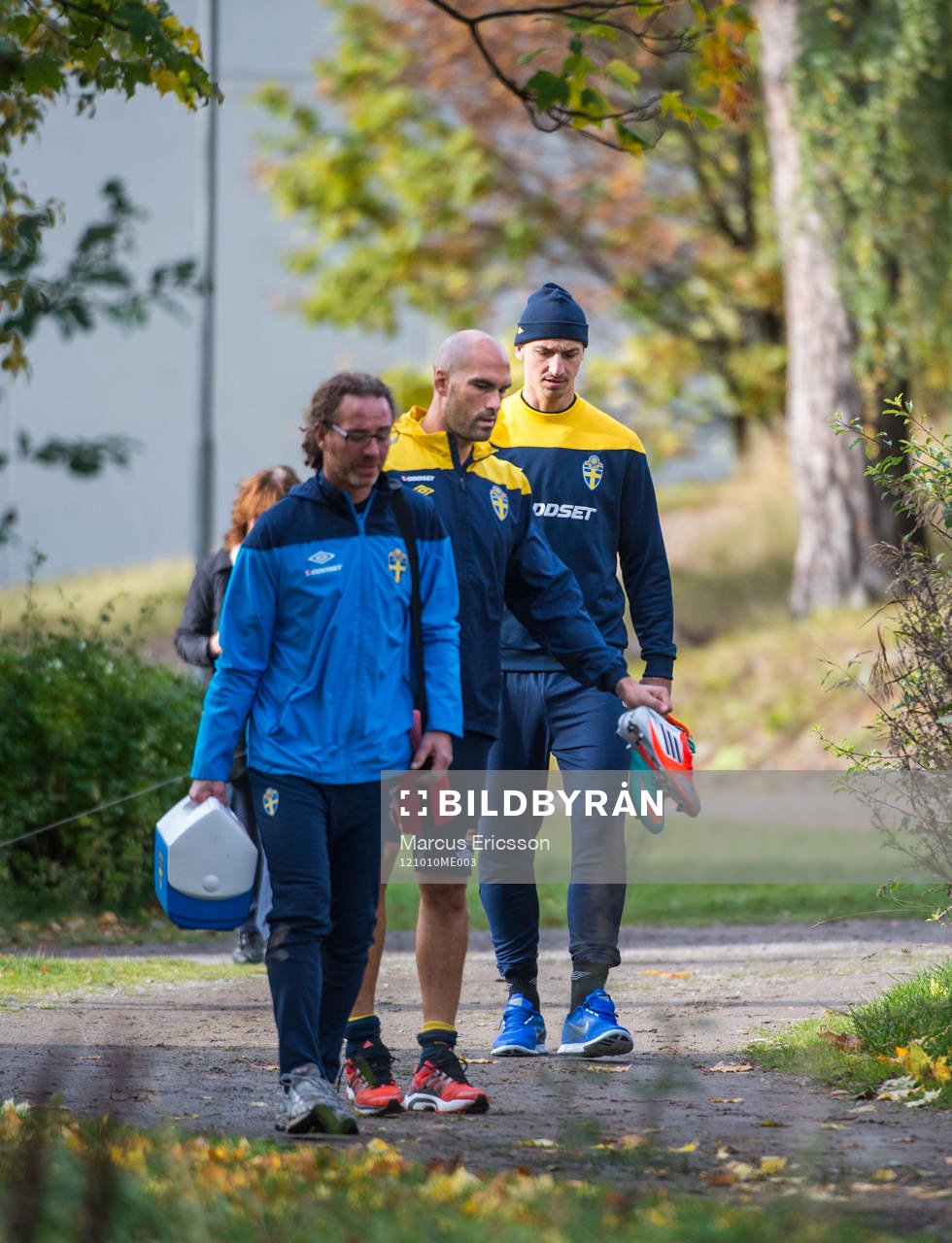 Richard Dahan, Daniel Majstorovic och Zlatan Ibrahimovic