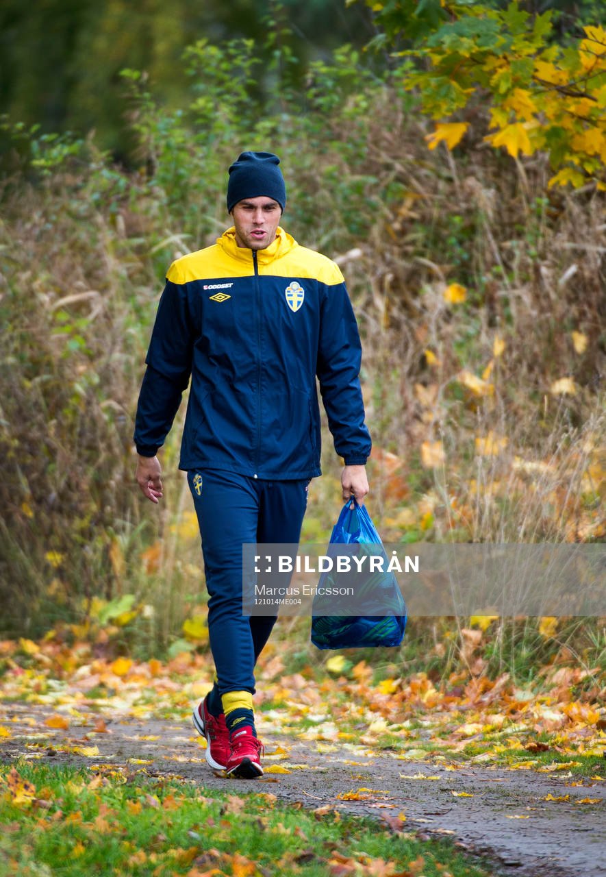 Johan Elmander
