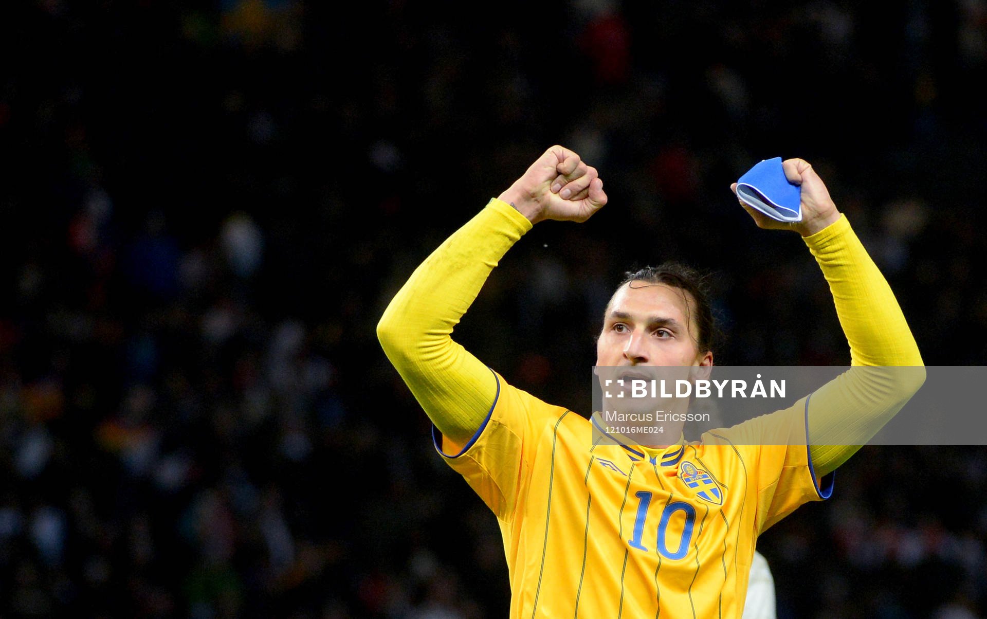 Zlatan Ibrahimovic, Sverige jubel