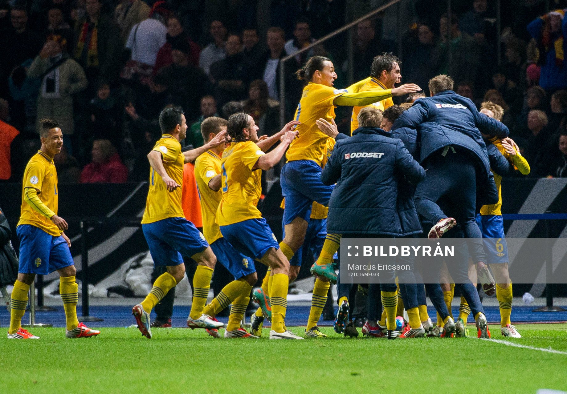 Johan Elmander och Zlatan Ibrahimovic i täten kastar sig