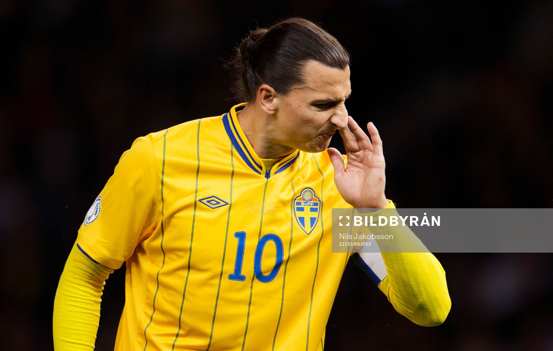 Zlatan Ibrahimovic, Sverige