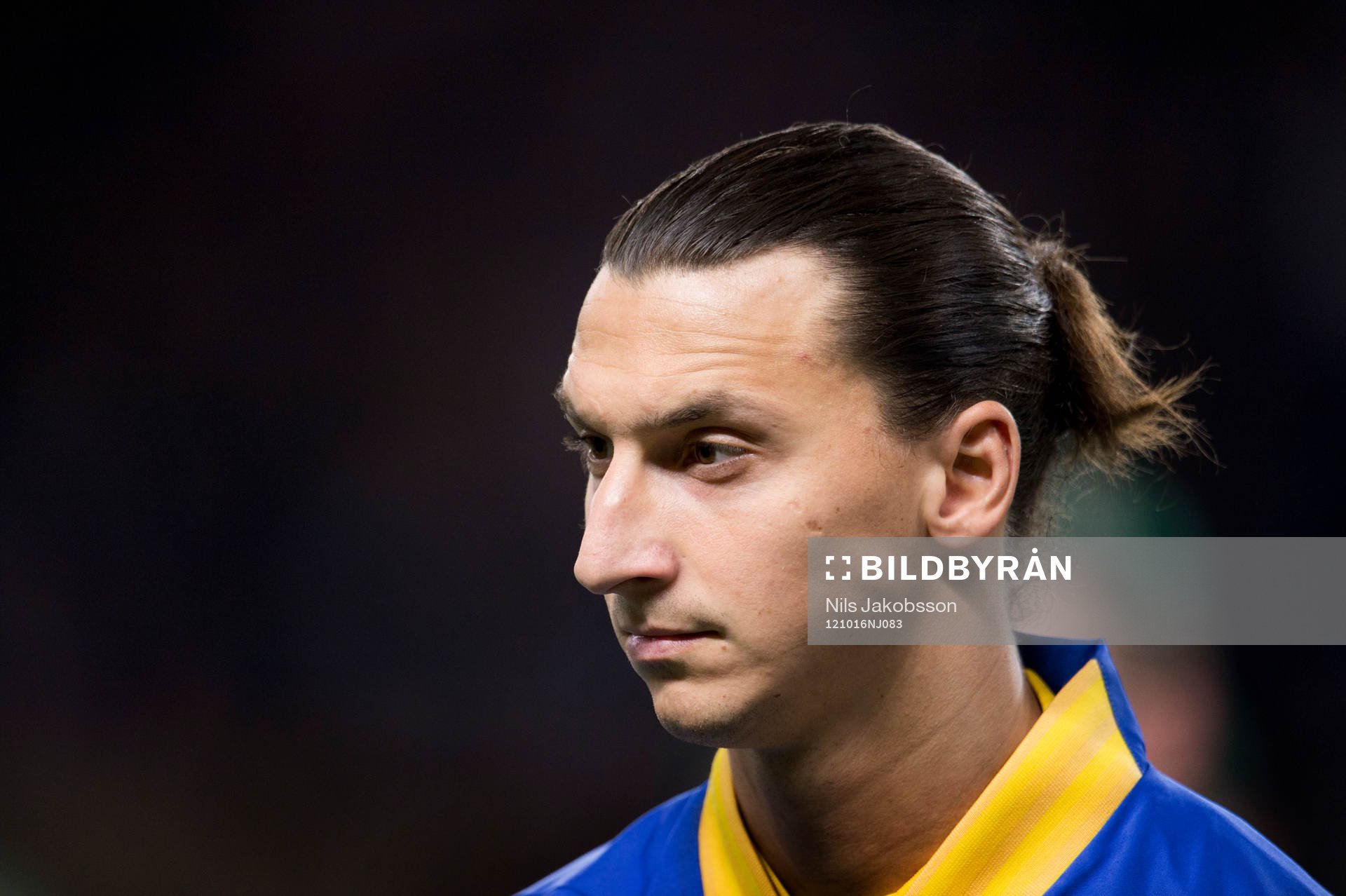 Zlatan Ibrahimovic, Sverige