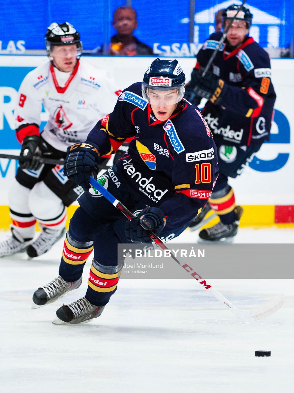Alexander Wennberg, Djurgården
