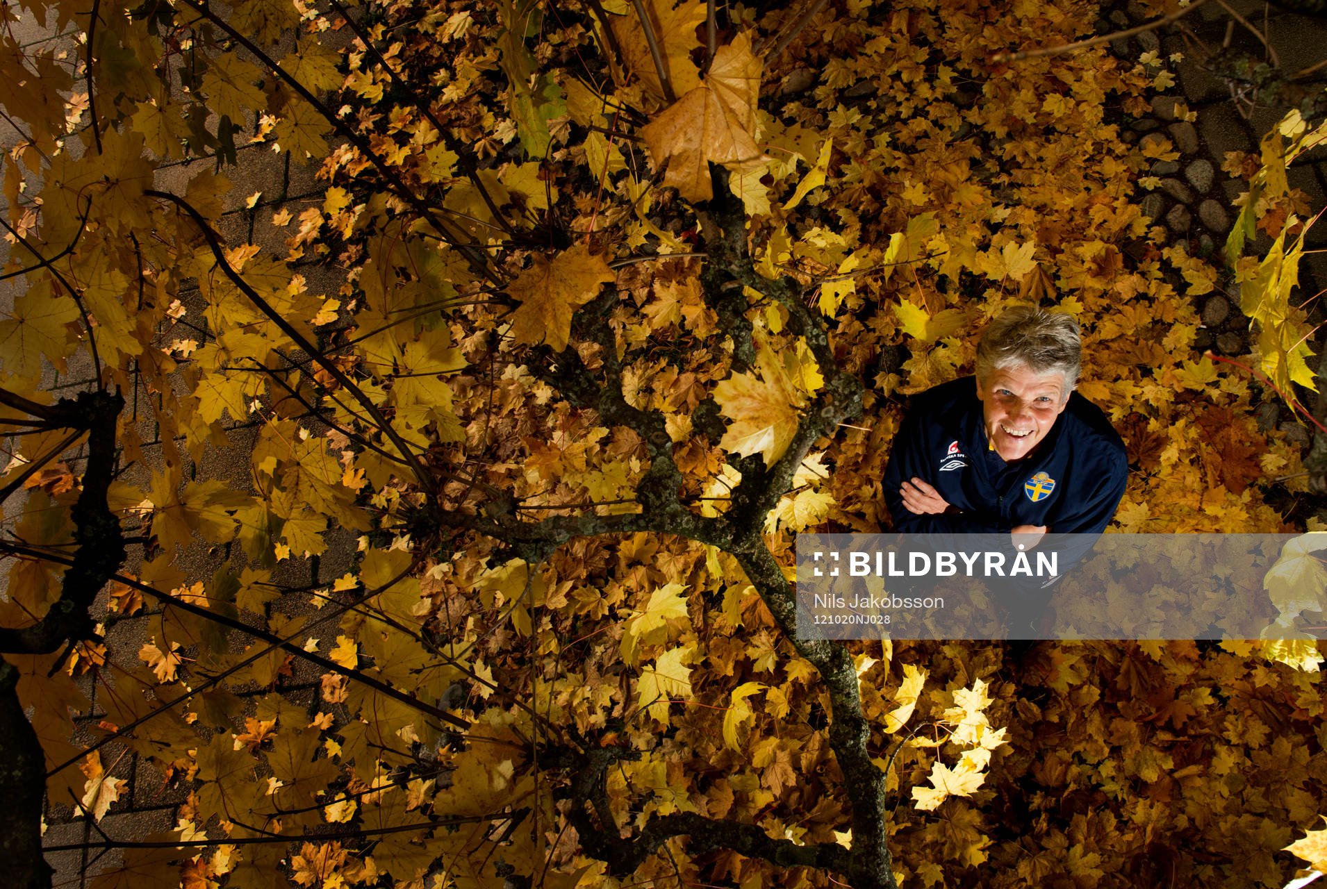 Pia Sundhage, förbundskapten