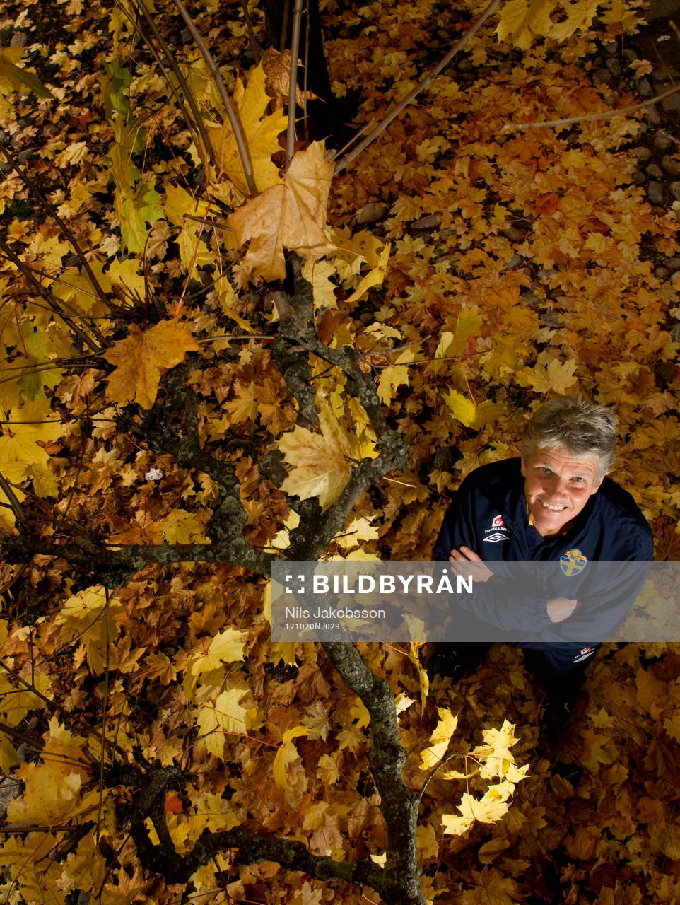 Pia Sundhage, förbundskapten