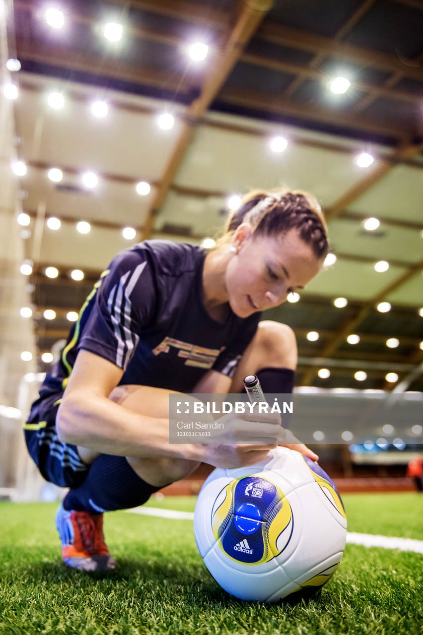 Lotta Schelin, Sverige