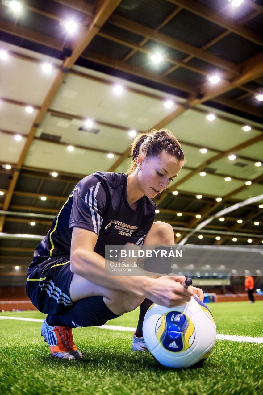 Lotta Schelin, Sverige