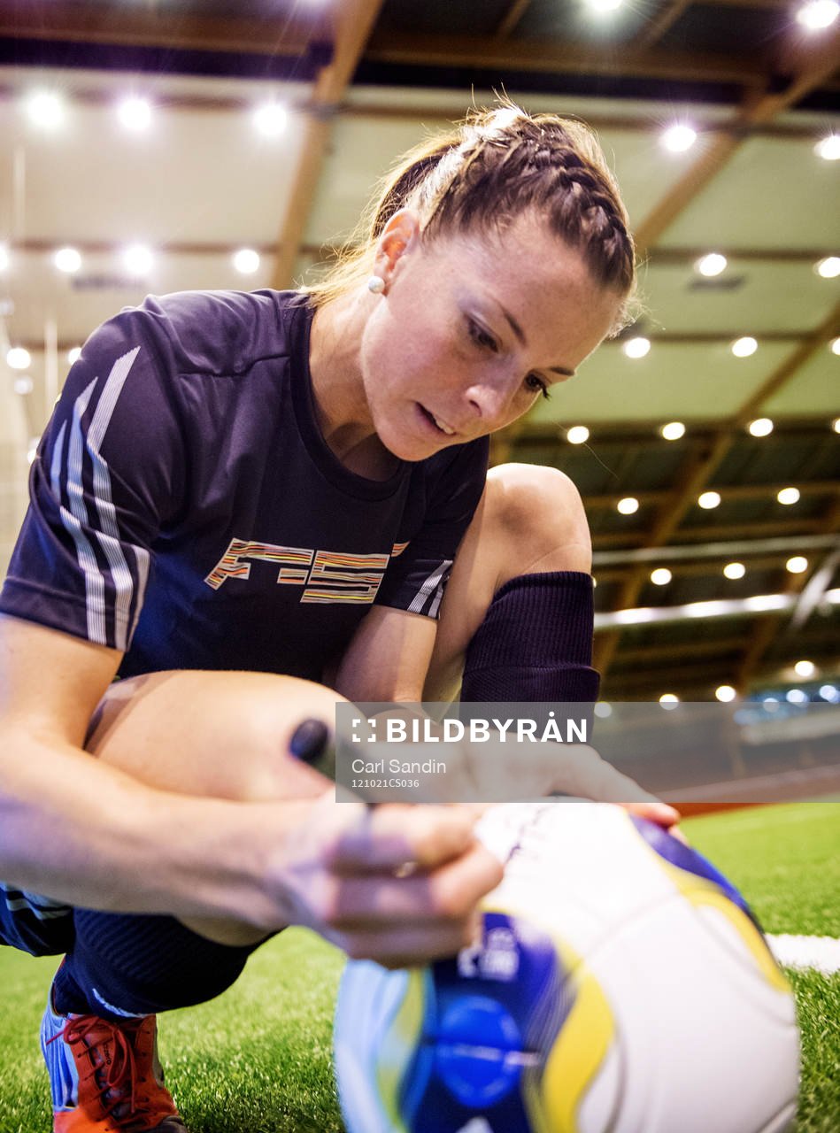 Lotta Schelin, Sverige