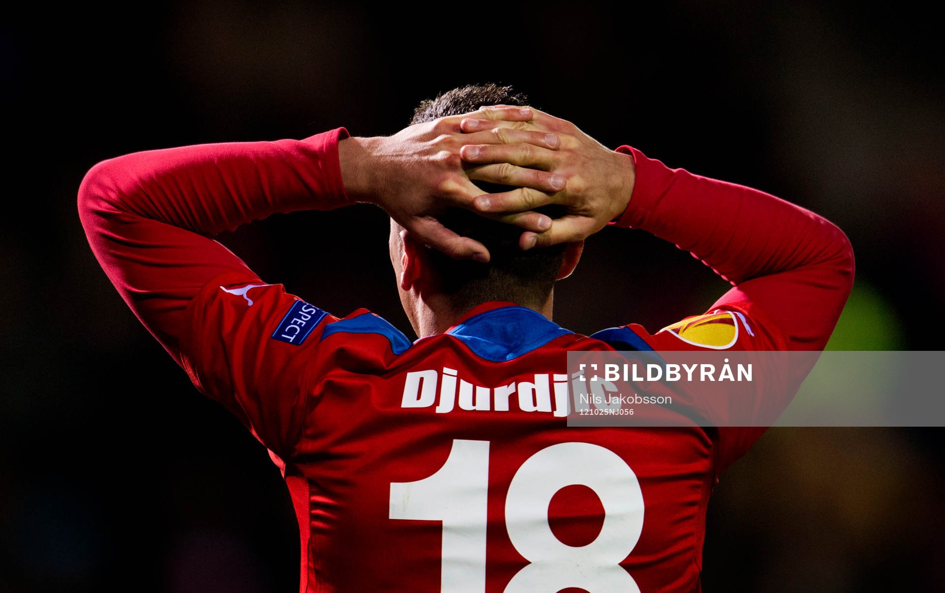 Nikola Djurdjic, Helsingborg deppar