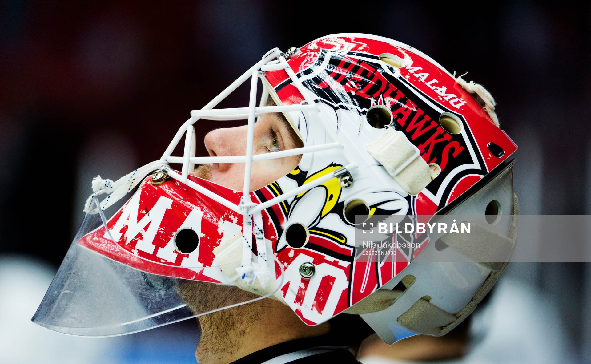 Axel Brage, målvakt, Malmö Redhawks