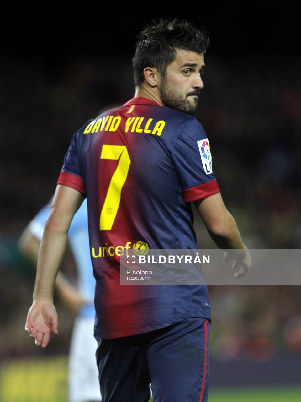David Villa