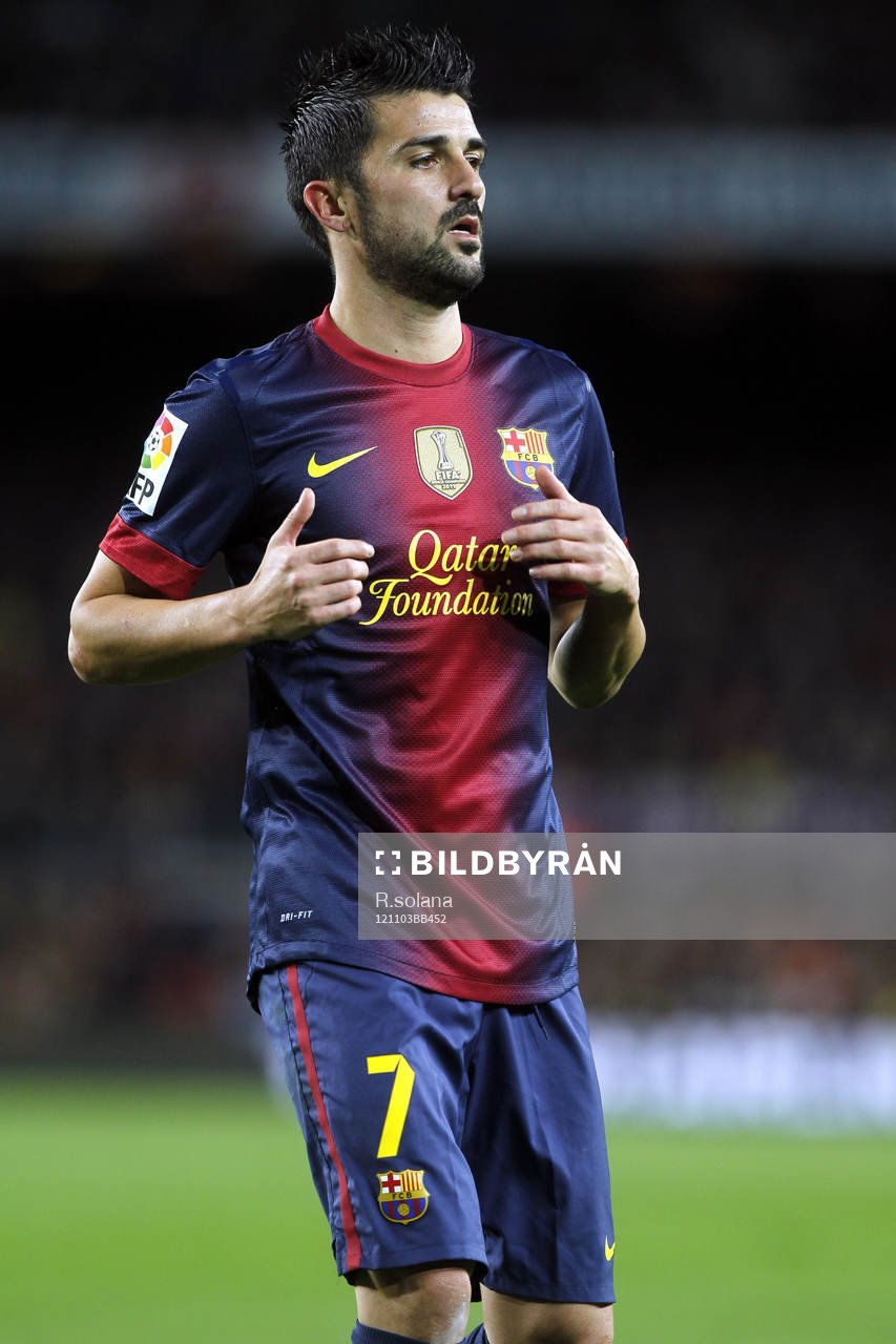 David Villa