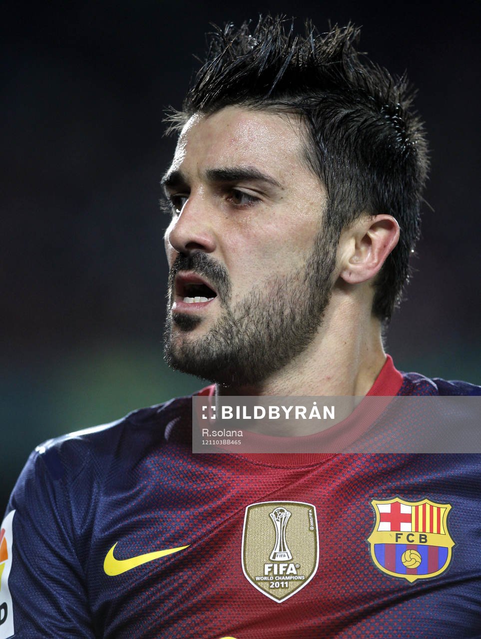 David Villa