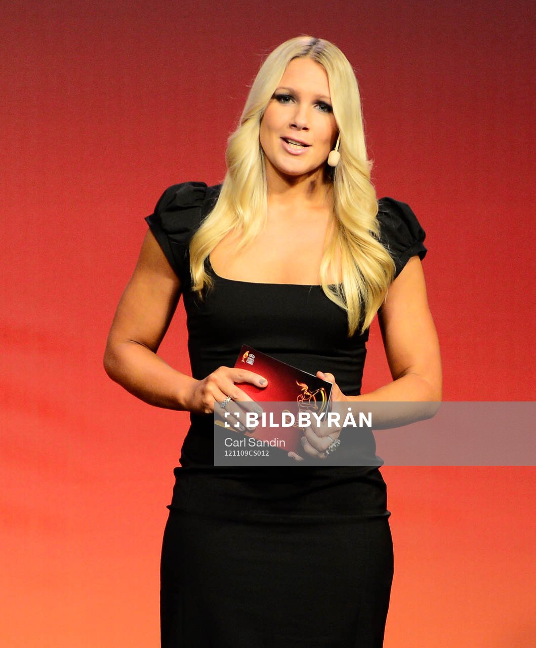 Anna Brolin, Journalist TV4 (TV 4)