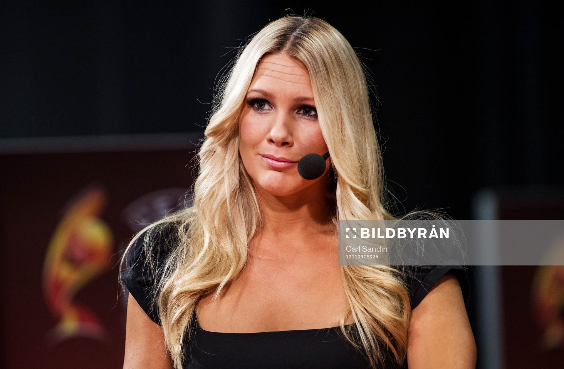 Anna Brolin, journalist TV4