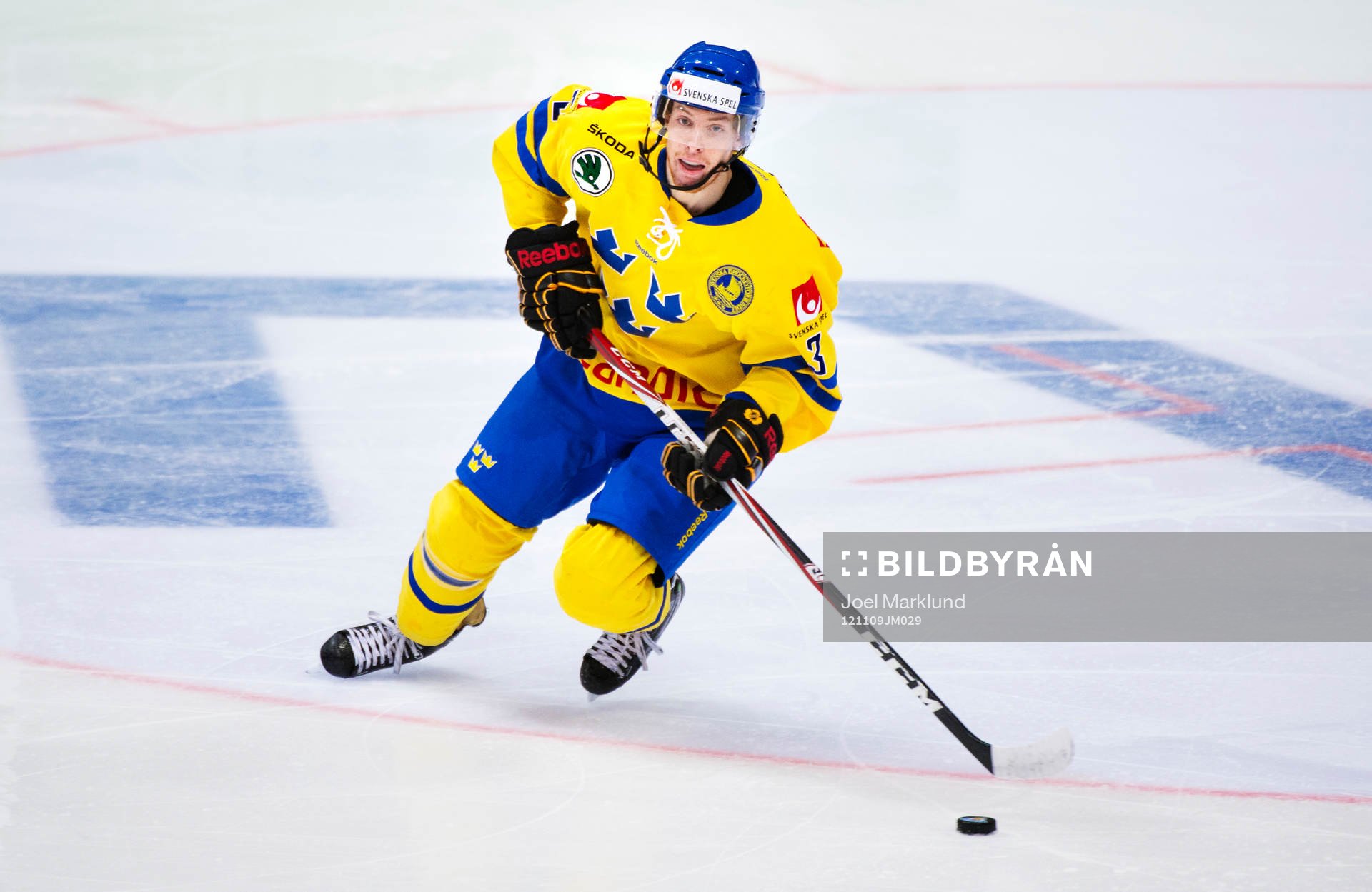 Niclas Burström, Sverige