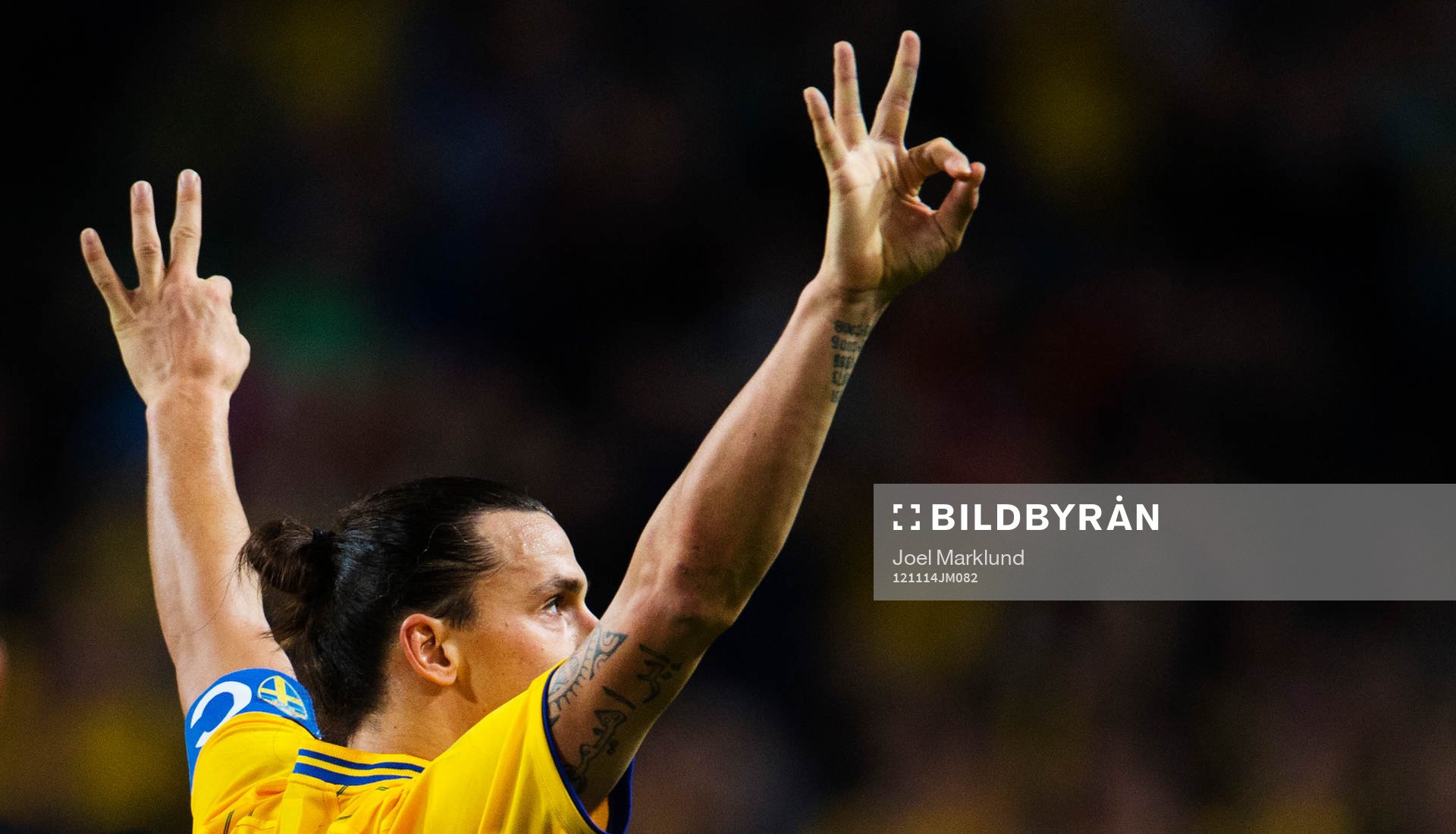 Zlatan Ibrahimovic, Sverige, jublar