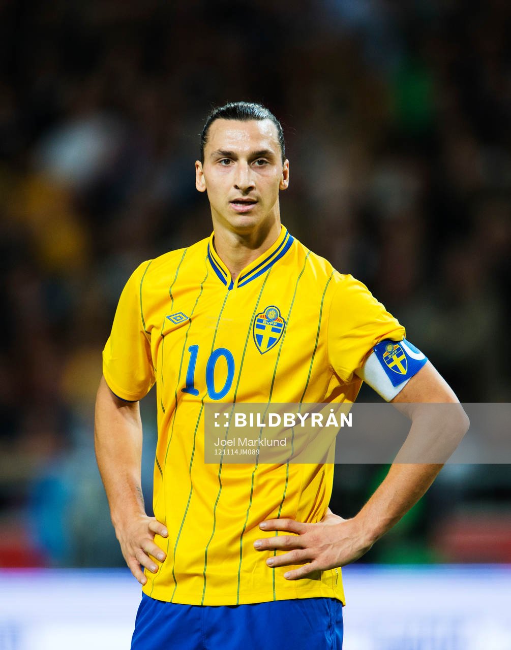 Zlatan Ibrahimovic, Sverige