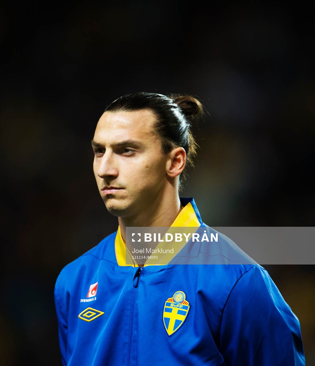 Zlatan Ibrahimovic, Sverige