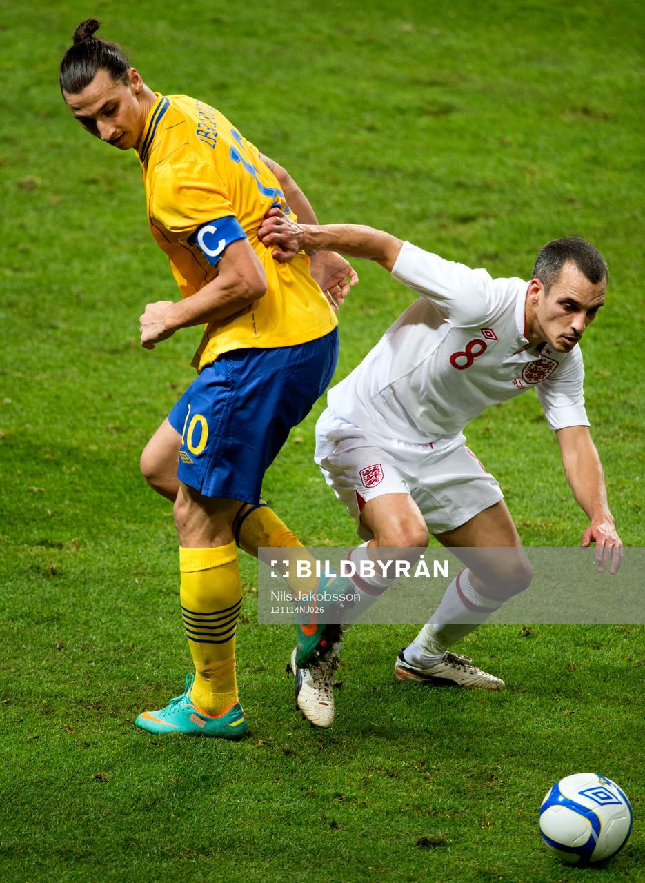 Zlatan Ibrahimovic, Sverige, Leon Osman, England