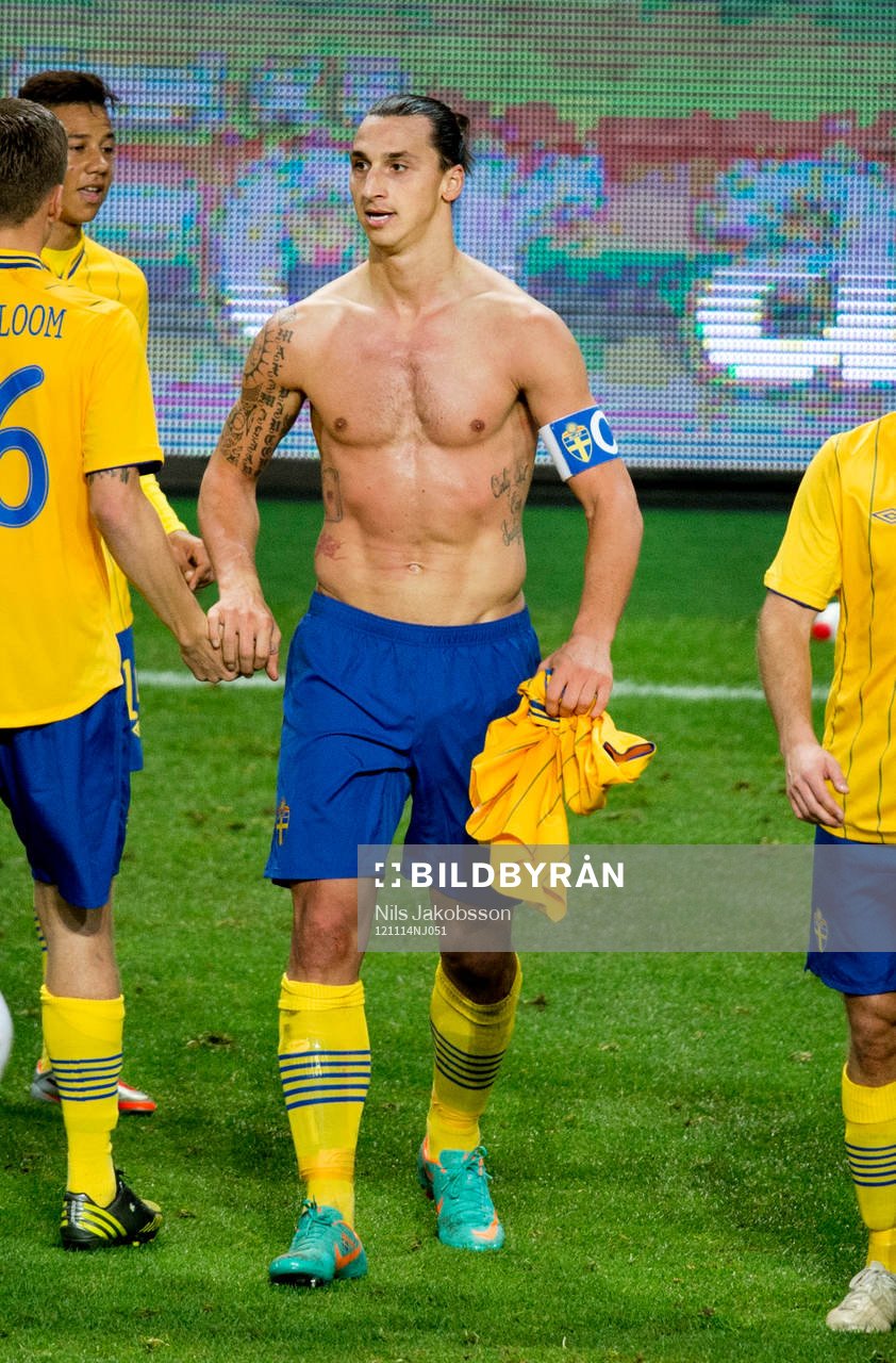 Zlatan Ibrahimovic, Sverige