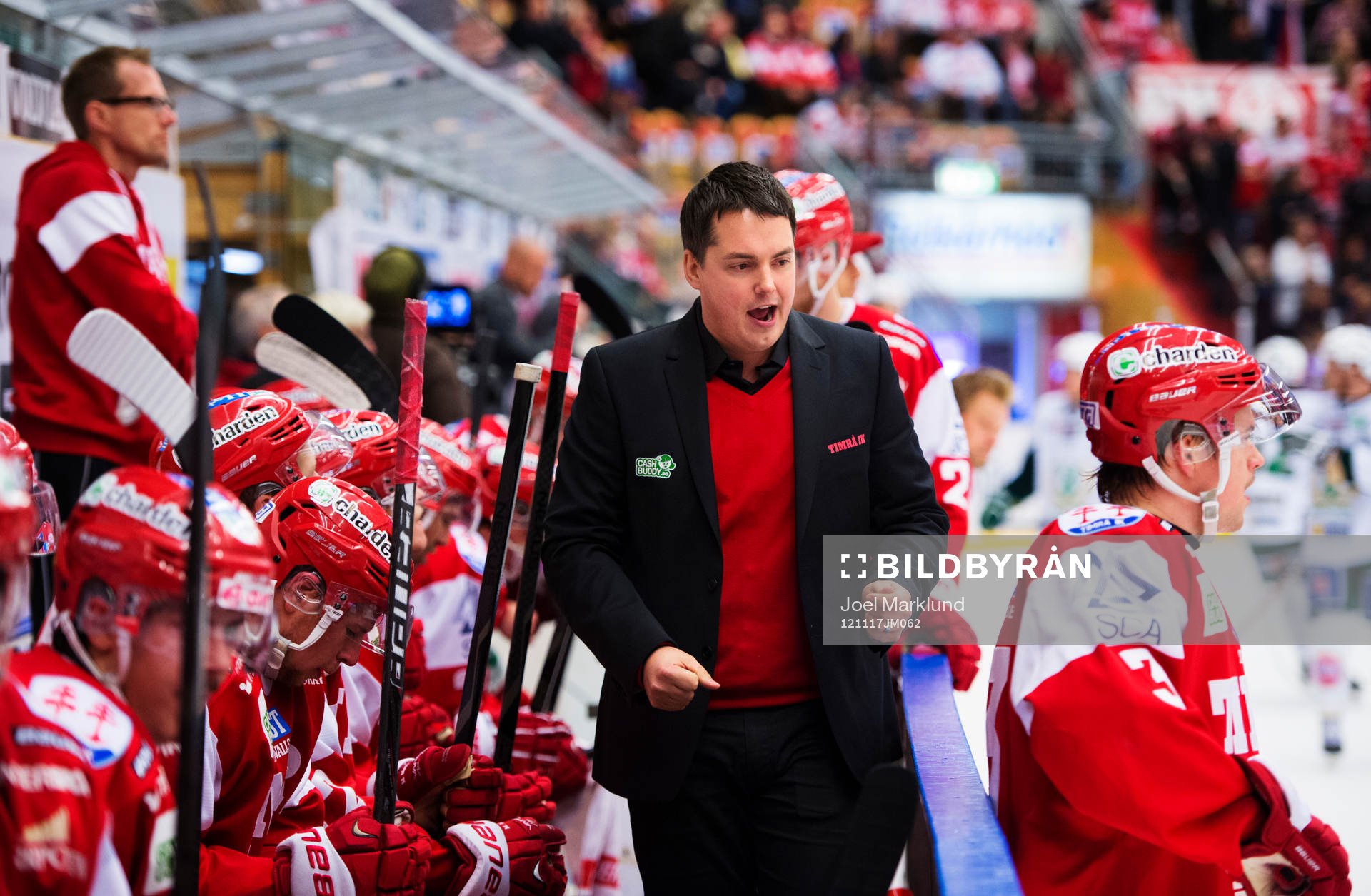 Tomas Montén, tränare Timrå