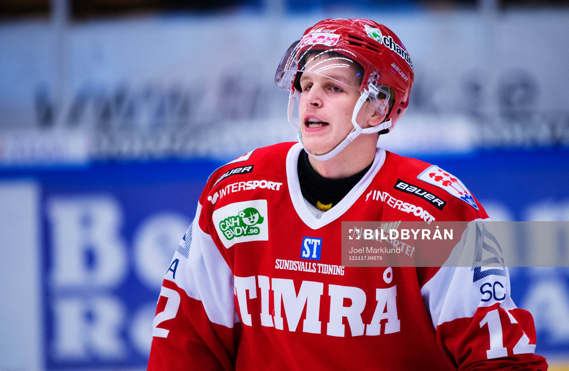 Max Friberg, Timrå