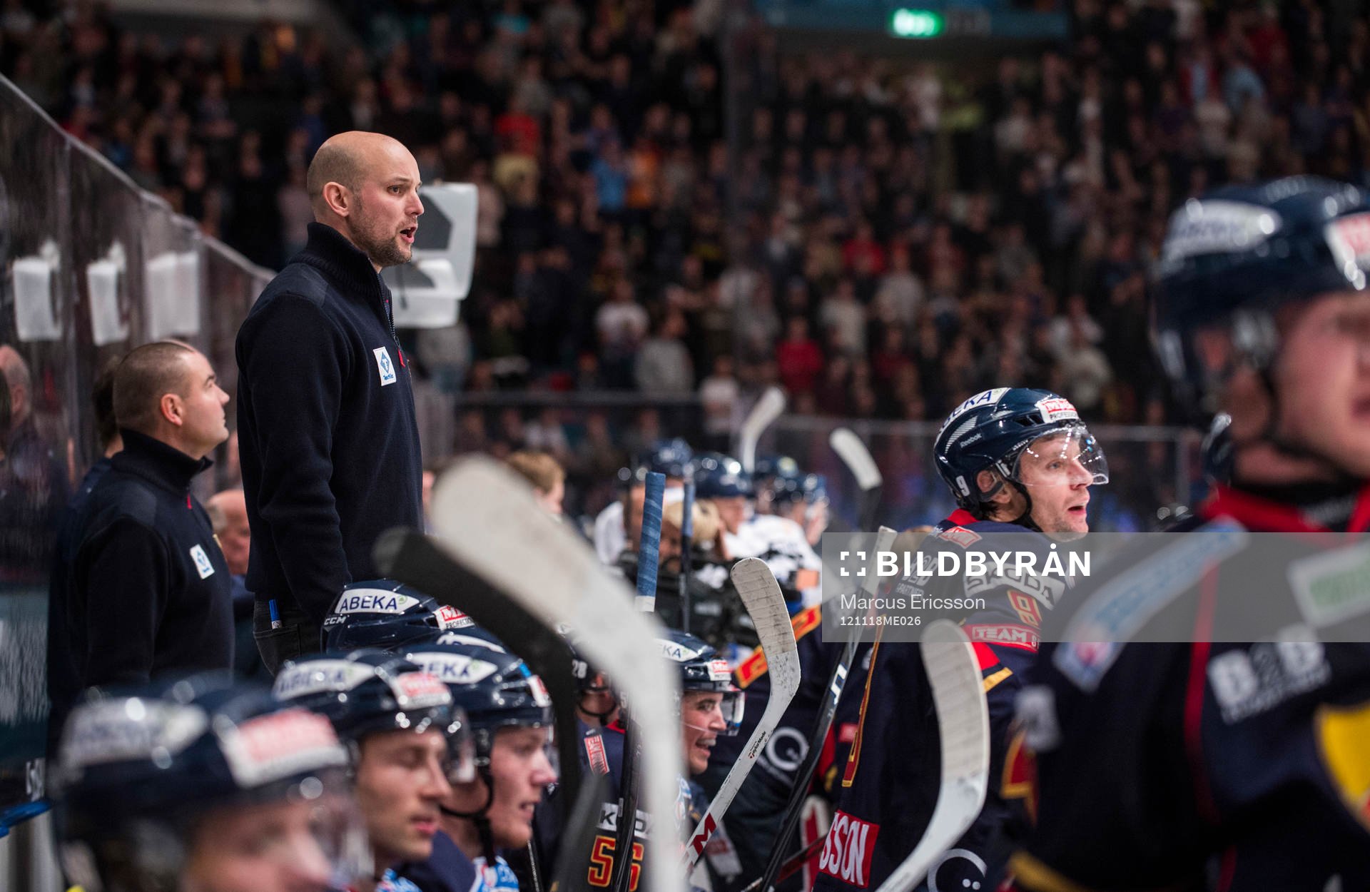 Tony Zabel, tränare Djurgården