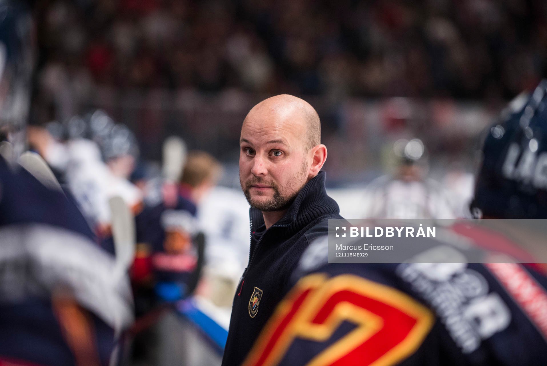 Tony Zabel, tränare Djurgården
