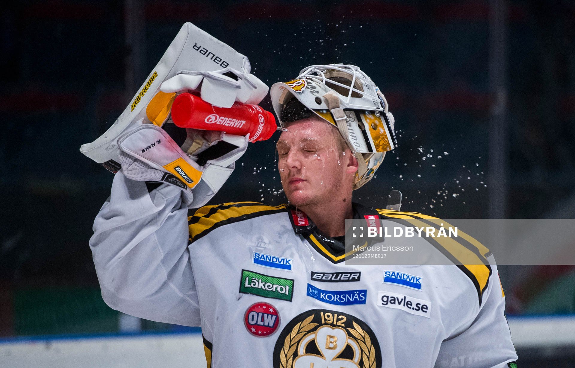 Robin Rahm, målvakt Brynäs