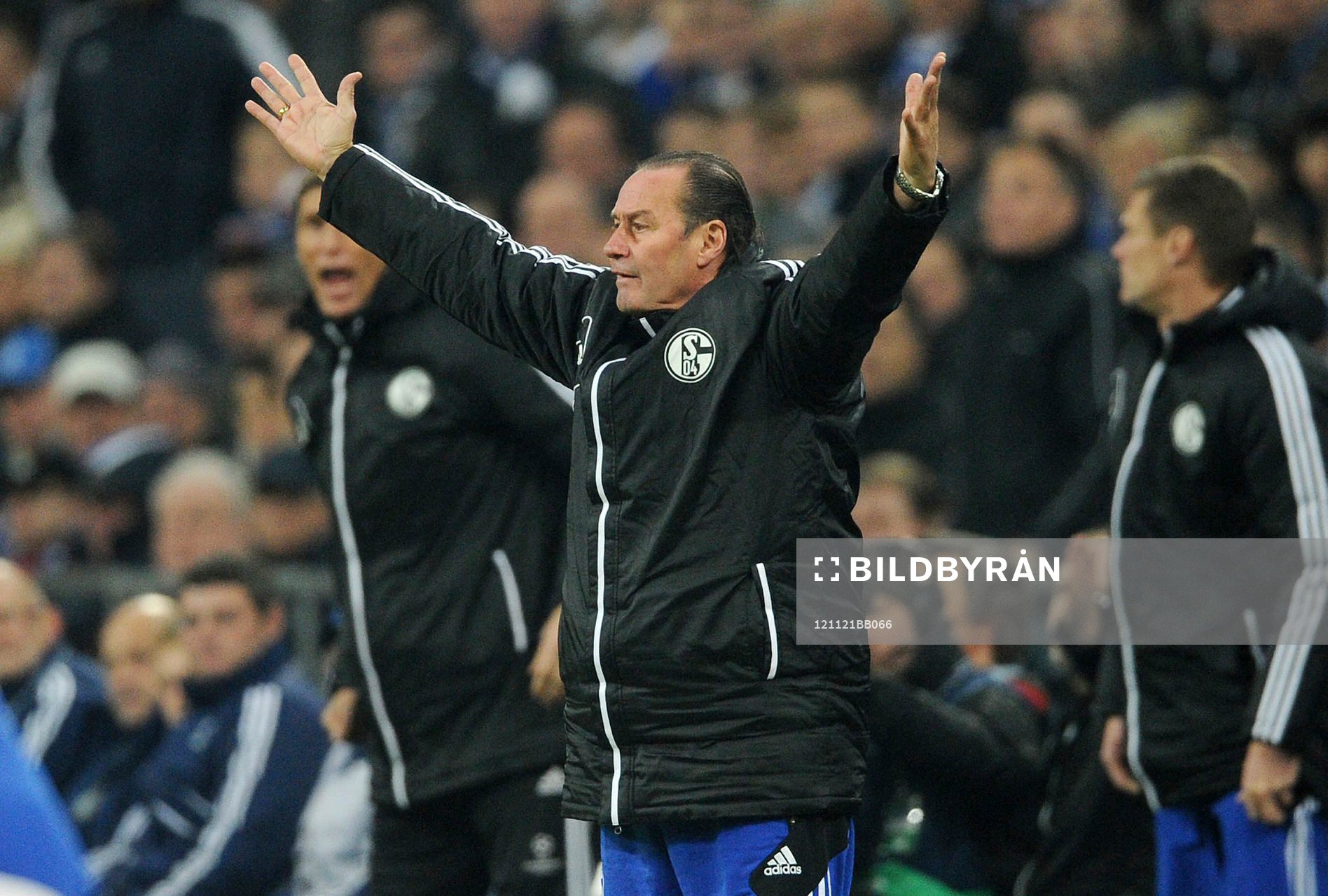 Trainer Huub Stevens (Schalke)