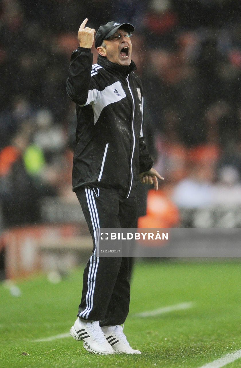 Football - Stoke City v Fulham - Barclays Premier League  -