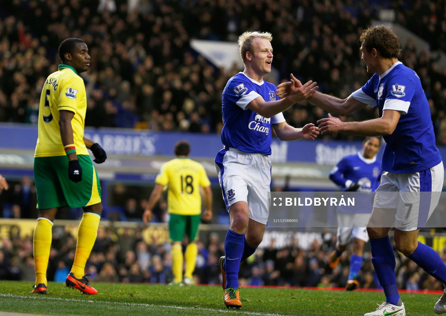 Football - Everton v Norwich City - Barclays Premier League