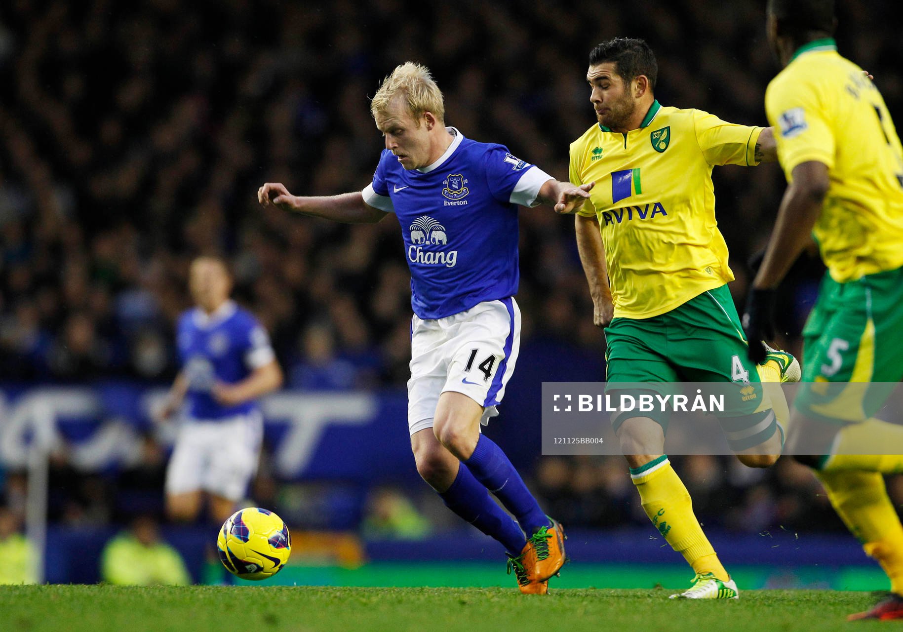 Football - Everton v Norwich City - Barclays Premier League