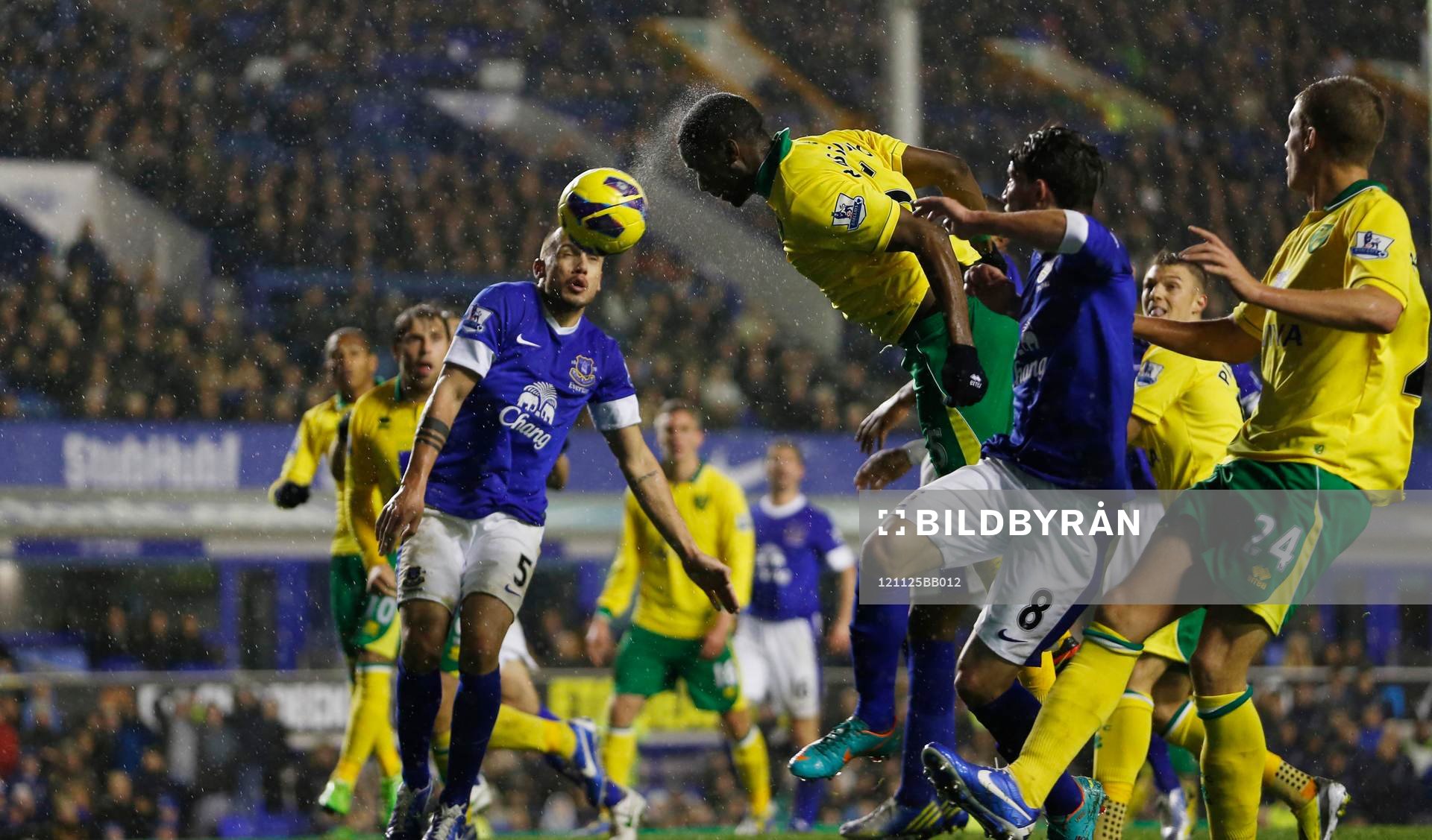 Football - Everton v Norwich City - Barclays Premier League