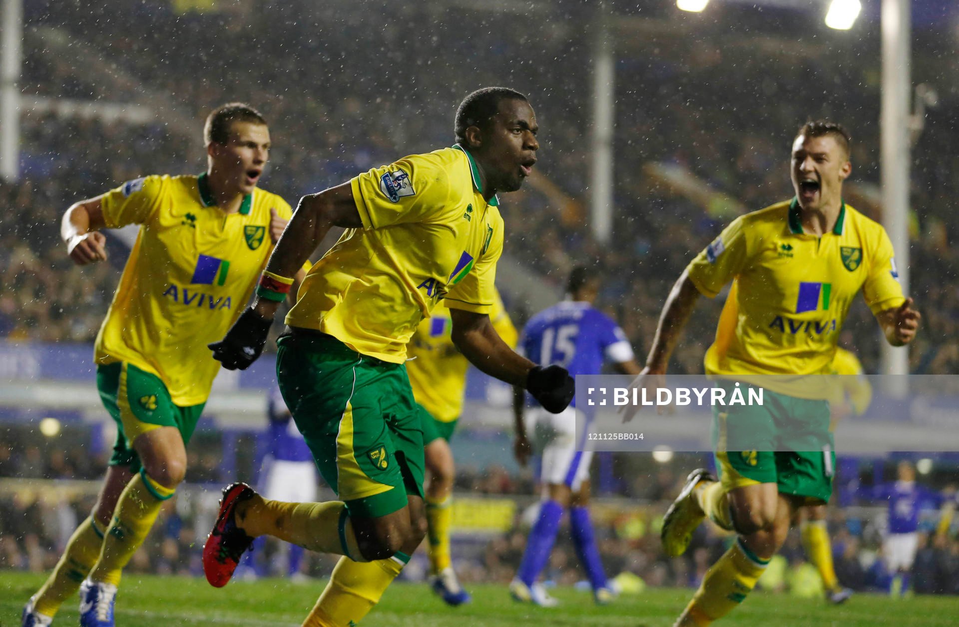 Football - Everton v Norwich City - Barclays Premier League