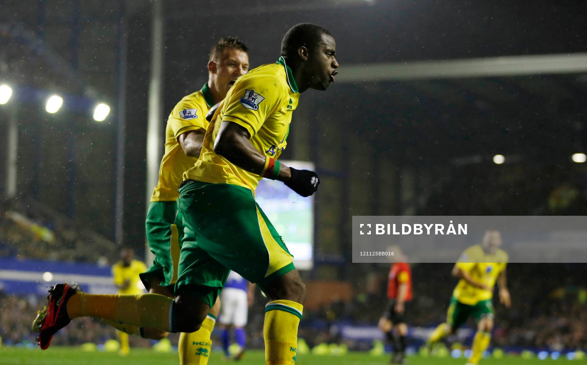 Football - Everton v Norwich City - Barclays Premier League