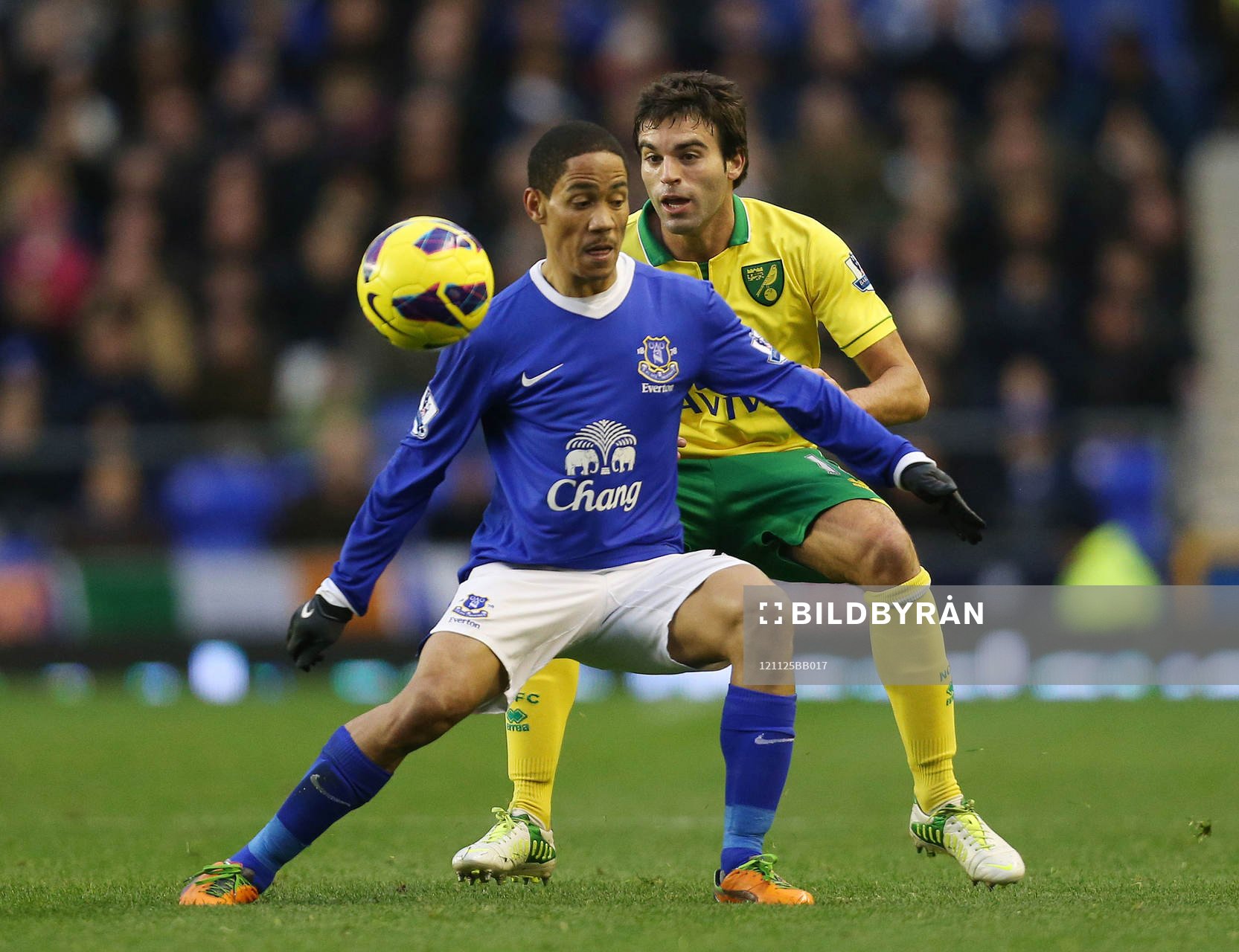 Football - Everton v Norwich City - Barclays Premier League