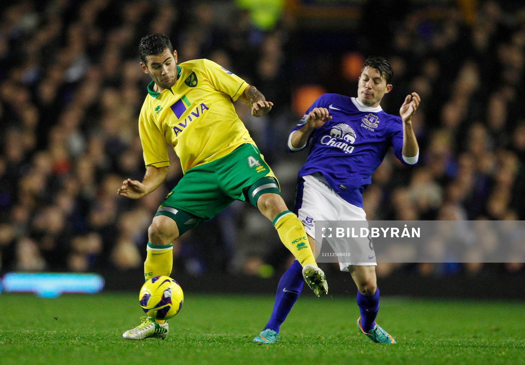 Football - Everton v Norwich City - Barclays Premier League