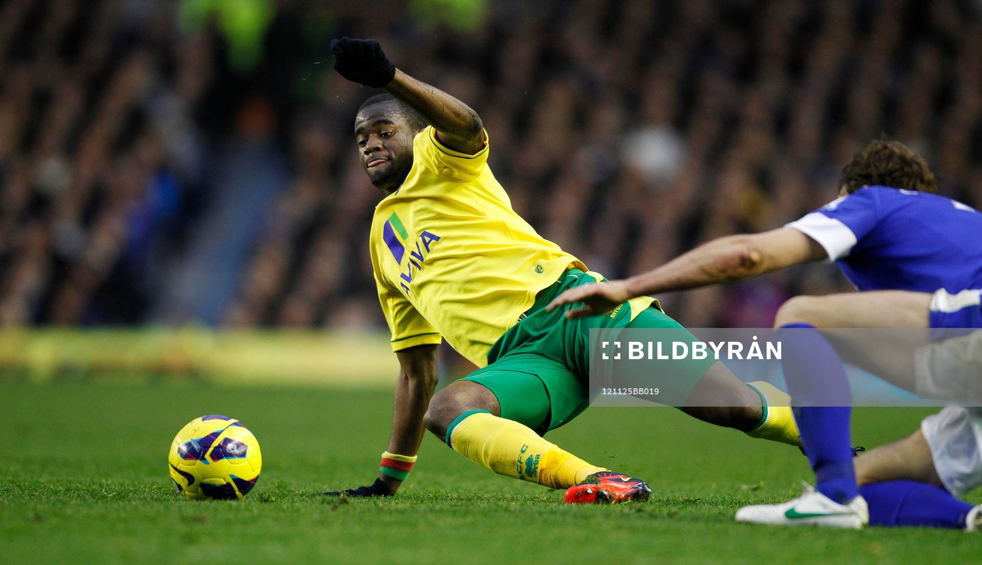 Football - Everton v Norwich City - Barclays Premier League