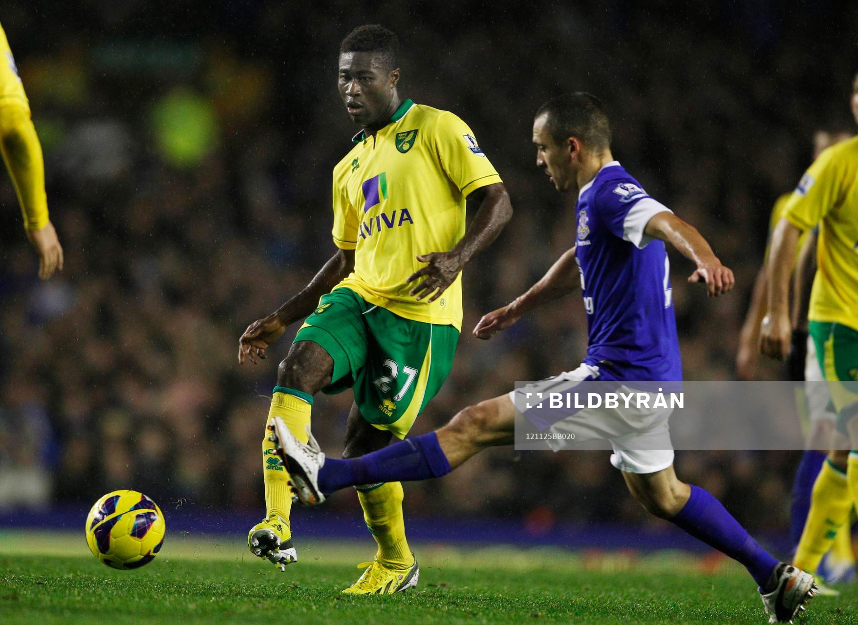 Football - Everton v Norwich City - Barclays Premier League