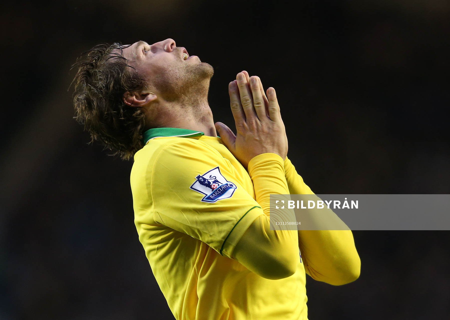 Football - Everton v Norwich City - Barclays Premier League