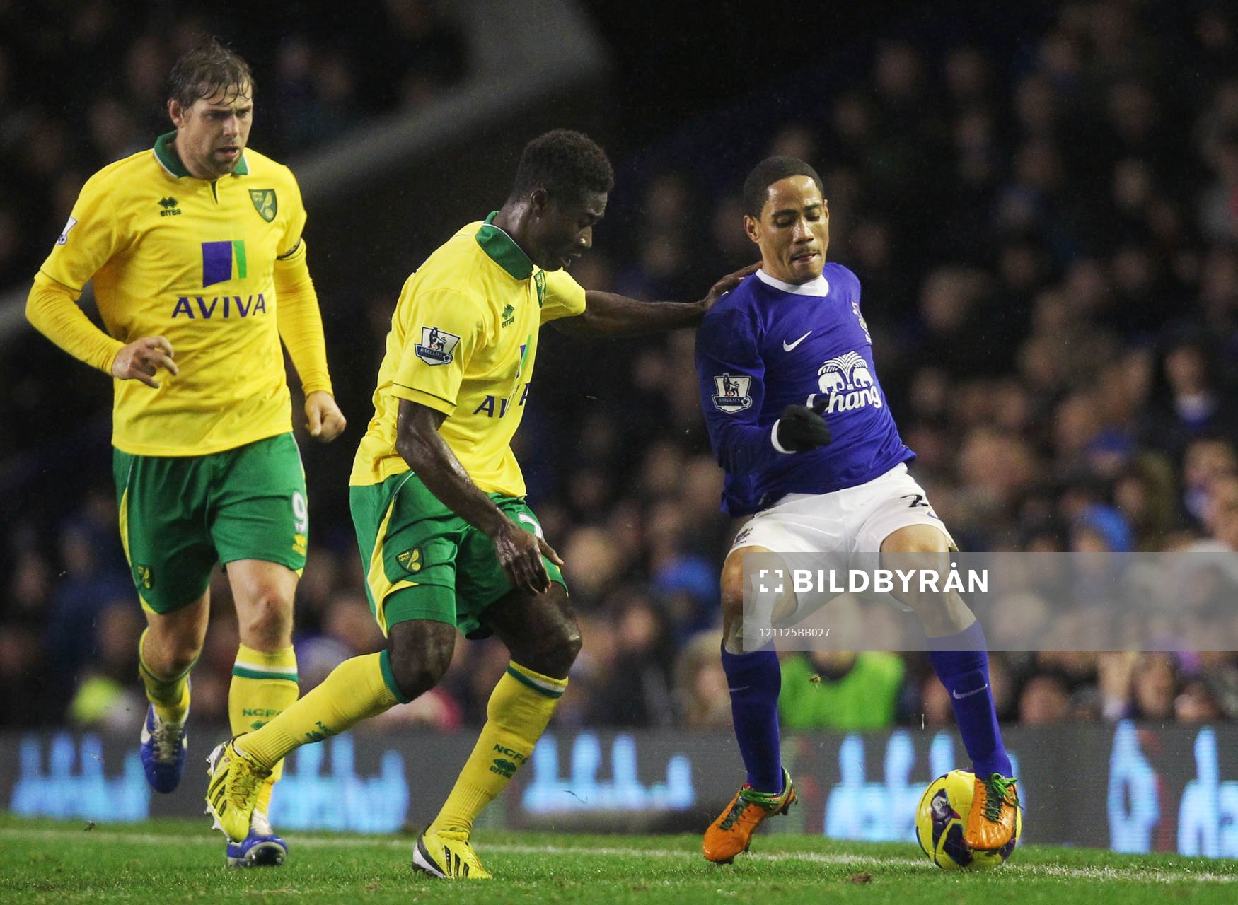 Football - Everton v Norwich City - Barclays Premier League